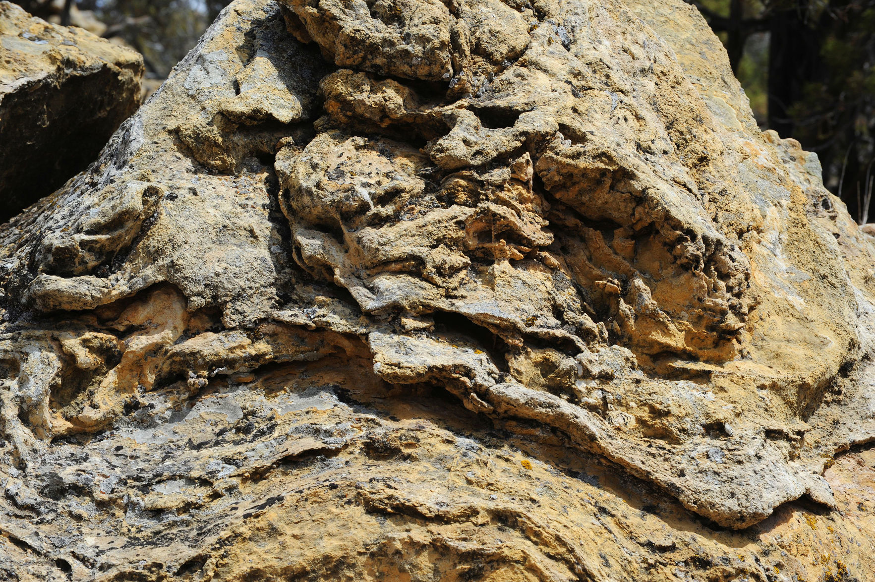 Jabba the Hutt rock